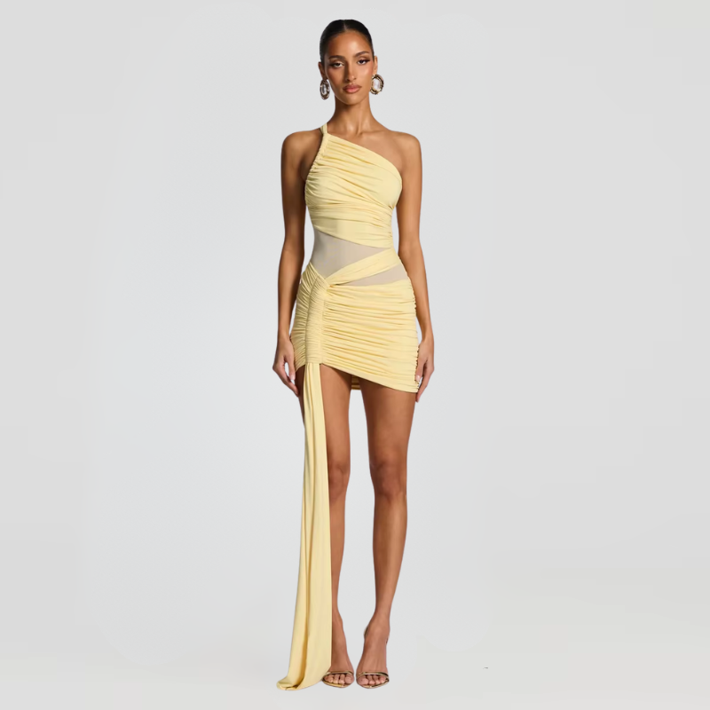 Zara Mini Dress