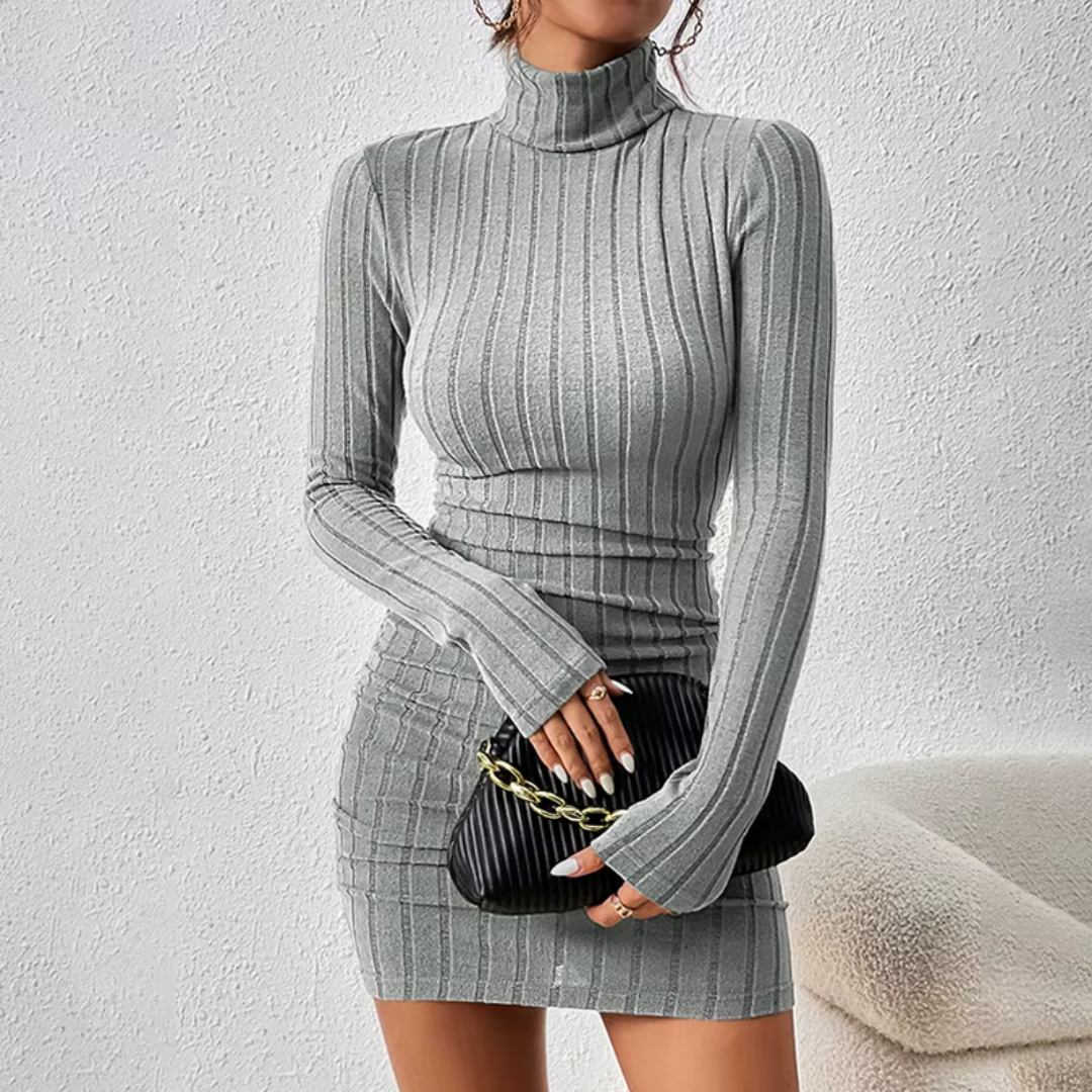 Turtleneck Long Sleeve Neck Dress