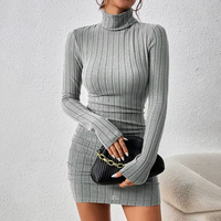Turtleneck Long Sleeve Neck Dress